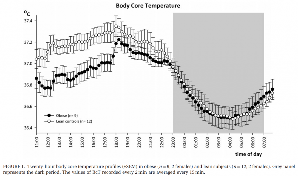 Check The Body Temperature Wilson's Syndrome